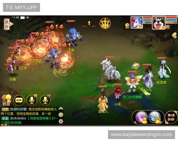 专业玩家总结的正规视讯技巧实用指南助你在游戏中取得优异成绩